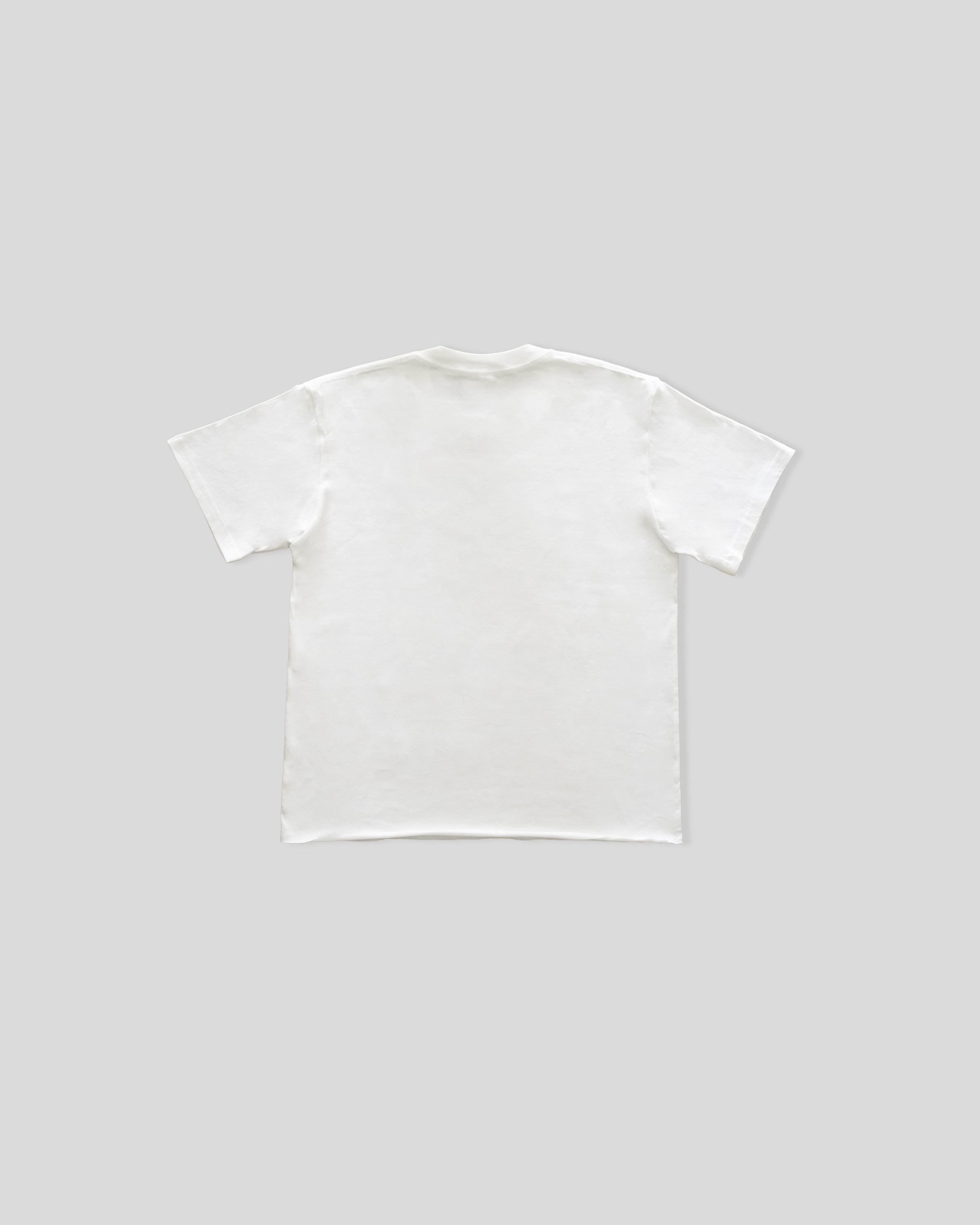 HEALER T-Shirt
